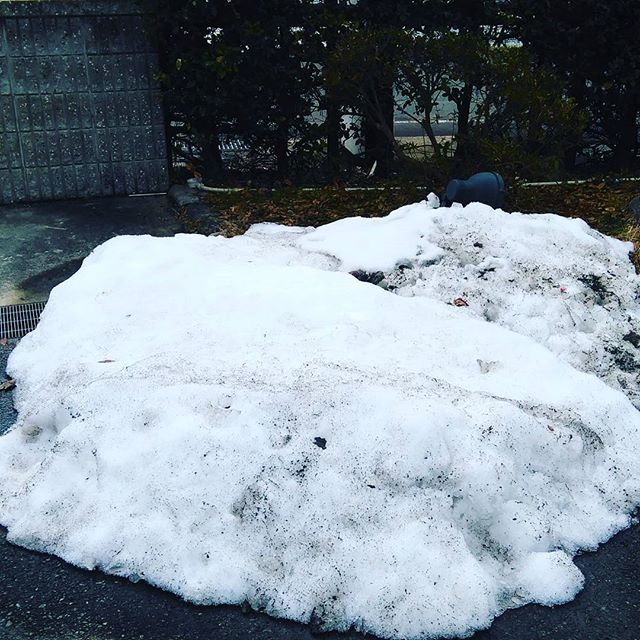 岡山県 湯原温泉　#あれから30分したら こんな雪がのこってました