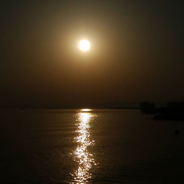 琵琶湖　太陽が眩しい……夕日ではありましぇ～ん　念のため