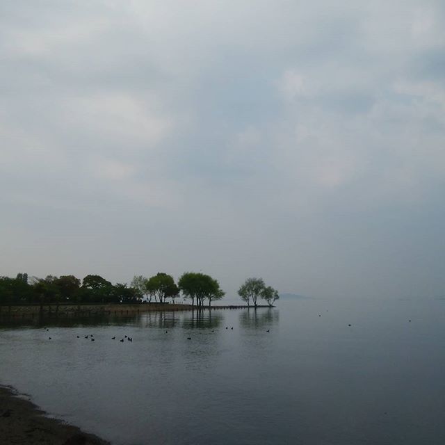 朝の琵琶湖　幻想的　#滋賀県#琵琶湖