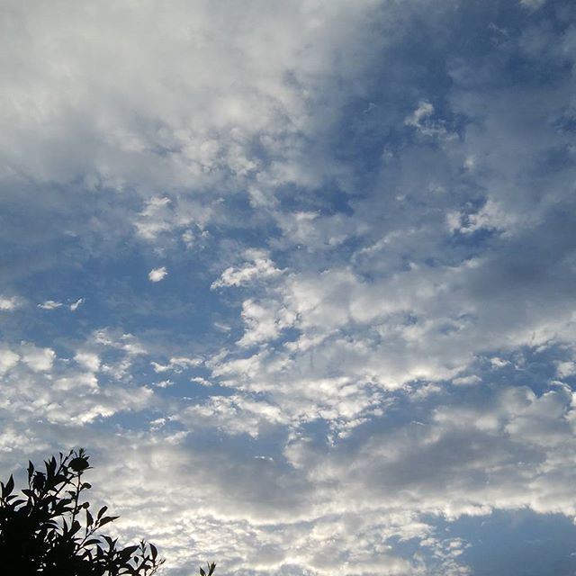 9/21  6:27am 　昨日ドカ～ンざざ～と大雨が降ったせいか秋だからなのか？とにかく空が魅力的　#福山神辺#スコールのあと