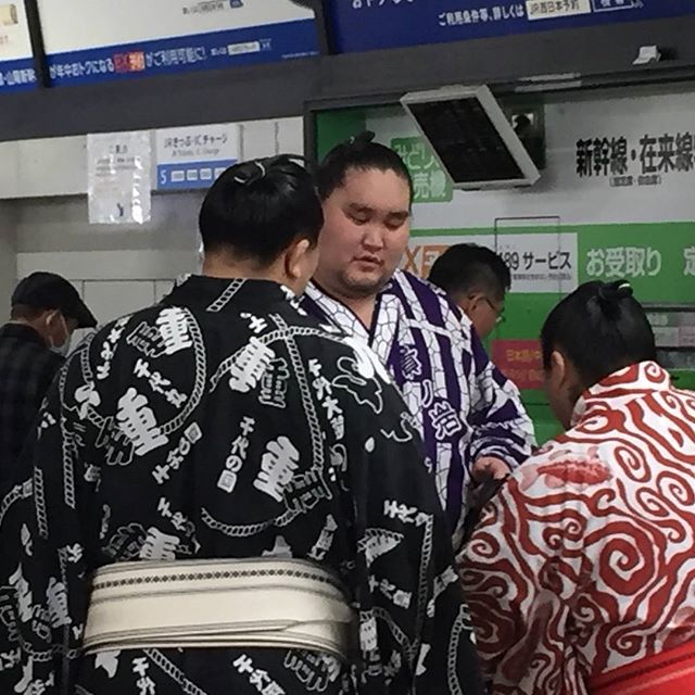 昨日　福山駅で遭遇したと息子からラインが…兎に角大きかったと孫娘驚く#福山神辺#相撲取り