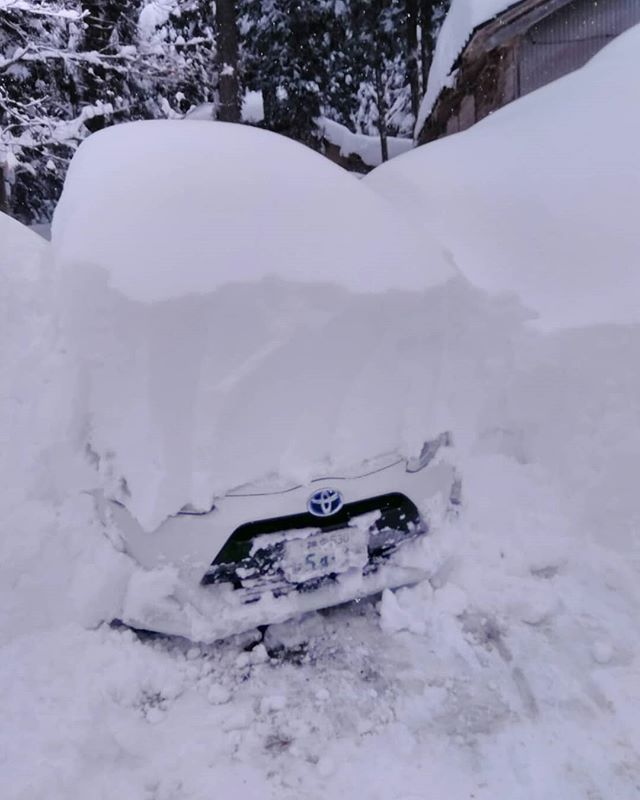 夫の友人が北陸の山奥へ今は住んでます暖かくなるとまた都会へ帰るこんなに雪が降った！車を掘り起こした？そうですオ～さぶ～私には無理だなぁ尊敬だわ～#福山神辺#白山#大雪
