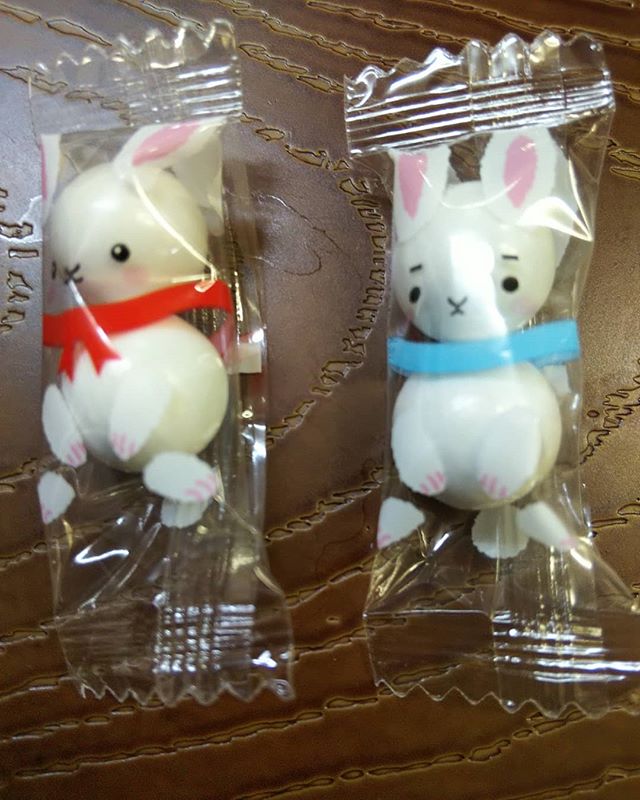 豆さんが二個可愛すぎるウサギ#福山神辺#ウサギの豆菓子