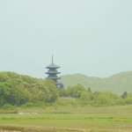 春の備中国分寺　五重の塔